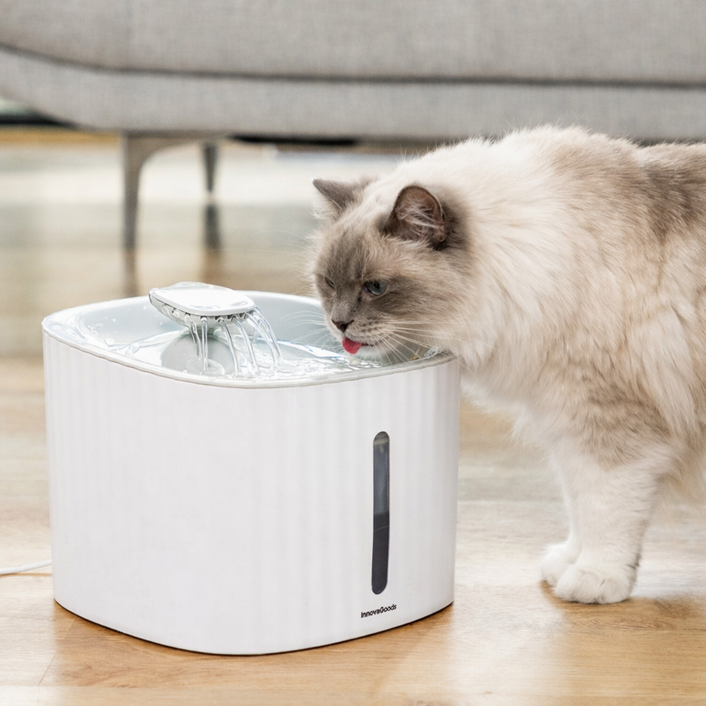 Superbe chat à poil long s'hydratant à la fontaine à eau silencieuse et filtrante Drinkatt 3L blanche dans un salon.