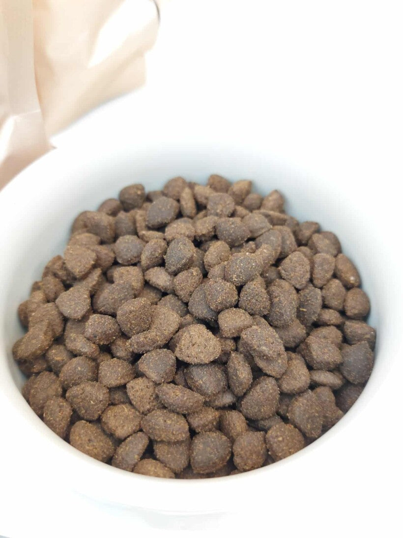 Croquettes Sèches pour Chat Adulte – Poulet Frais Suisse