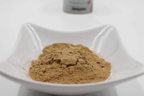 Complément Intestinal pour Chien et Chat – Immuno+