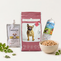Assortiment d'alimentation premium pour chien 100% suisse, comprenant un sac de croquettes semi-humides Joy's Food Bœuf (1,5kg), un sachet de Crème au Poulet Animéco (100g), et un bol de Repas Frais au Poulet Animéco (400g) avec son boudin, sur fond blanc épuré.