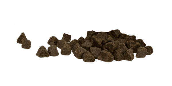 Croquettes Semi-Humides pour Chien Adulte – Poulet Frais Suisse