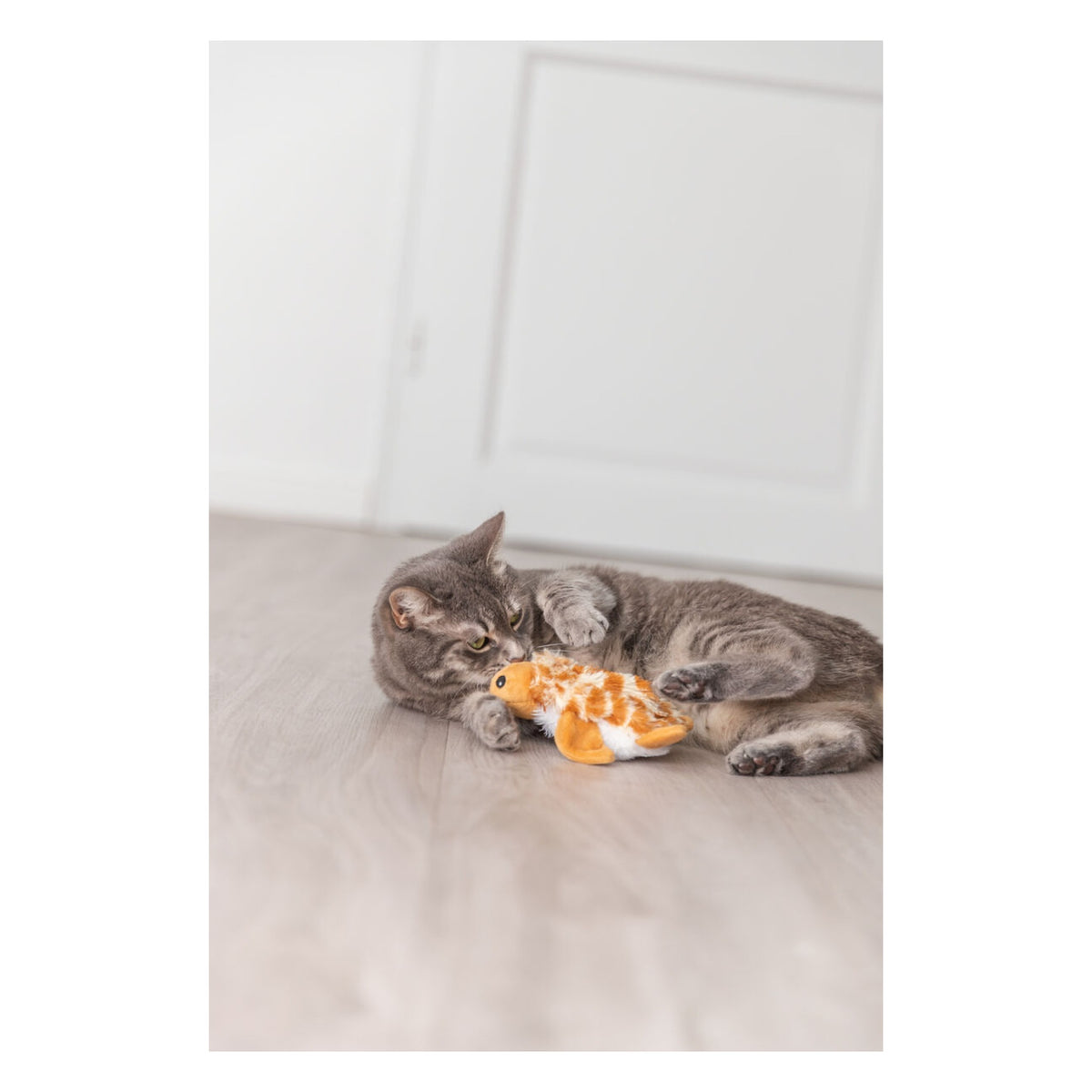 Chat couché mordillant la peluche tortue au sol