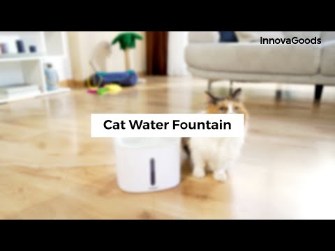 Fontaine à Eau Silencieuse & Filtrante Drinkatt (3 Litres)