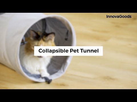Tunnel de Jeu Pliable pour Chat Funnyl InnovaGoods