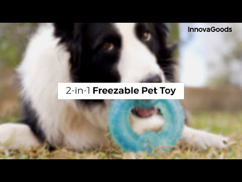 Jouet Fraîcheur 2-en-1 Glubiz par InnovaGoods – L'Allié Été de votre Chien